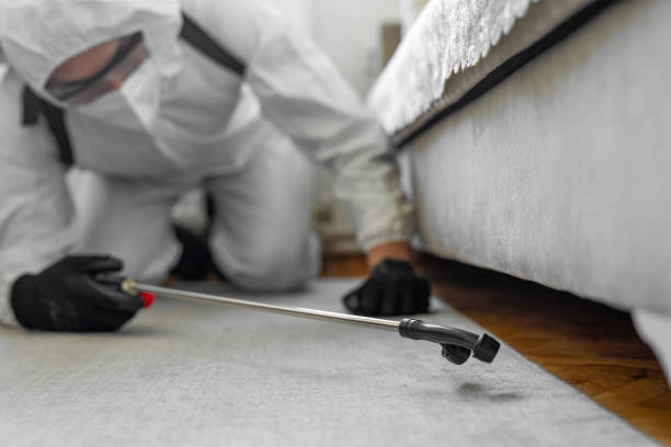 Professional Cockroach Control technician working in Montgomery County County, IA
